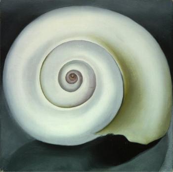Georgia O Keeffe : Shell